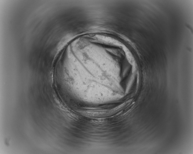 X0000101961415200808081518