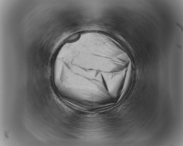 X0000101961416200808081518