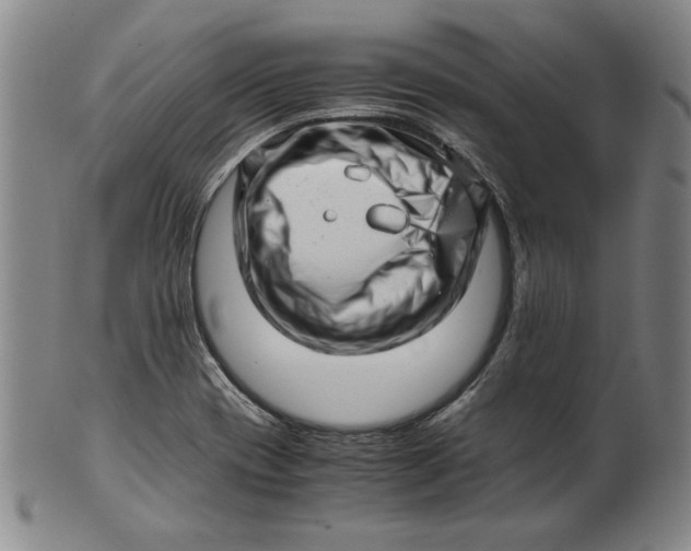 X0000101961417200808081518