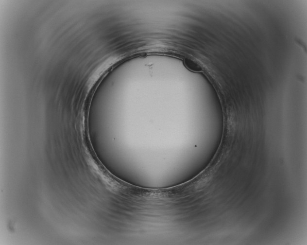 X0000101961418200808081518