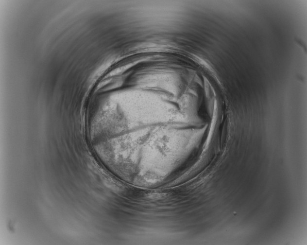 X0000101961419200808081518