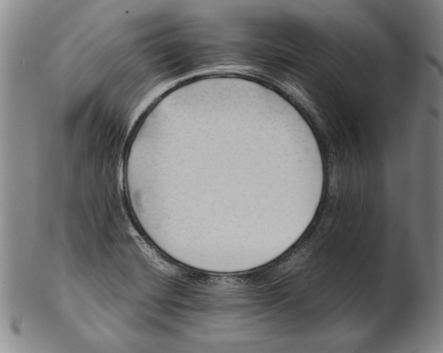 X0000101961420200808081518