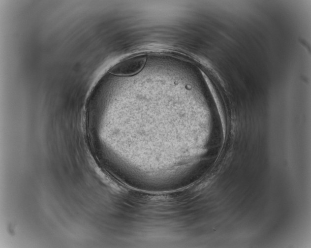 X0000101961421200808081518