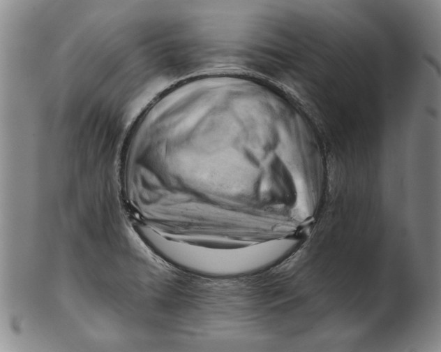 X0000101961422200808081518