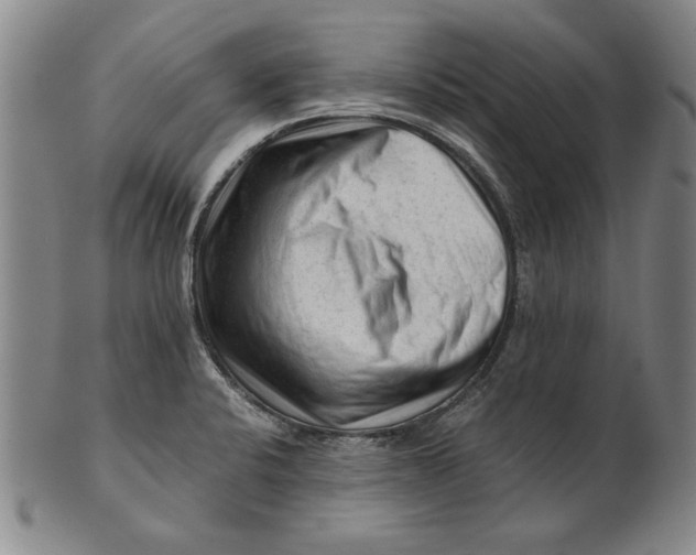 X0000101961424200808081518