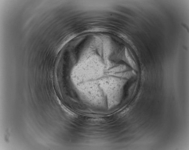 X0000101961425200808081518