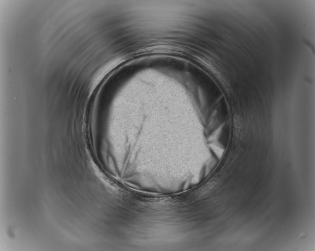 X0000101961426200808081518