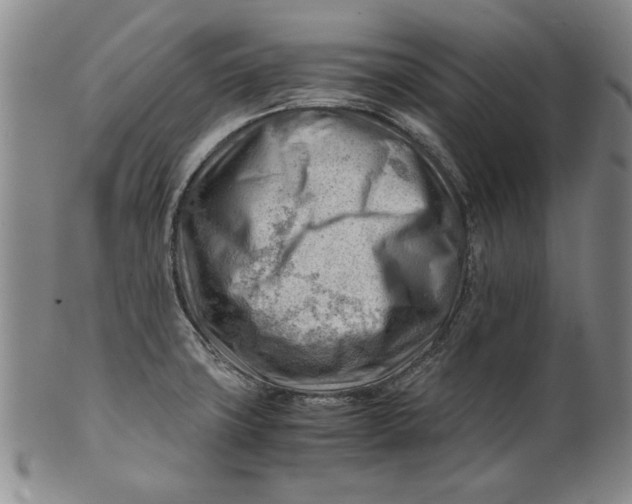 X0000101961427200808081518