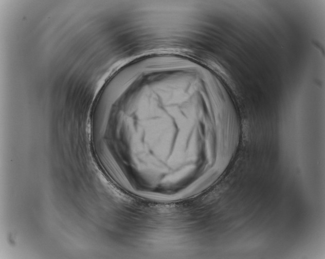 X0000101961428200808081518