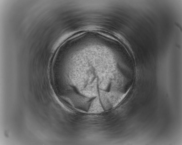 X0000101961429200808081518