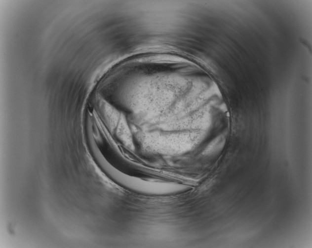 X0000101961430200808081518