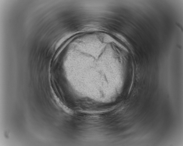 X0000101961431200808081518