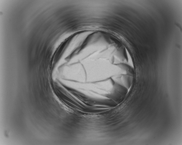 X0000101961432200808081518