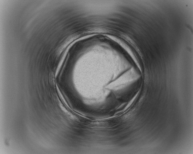 X0000101961433200808081518