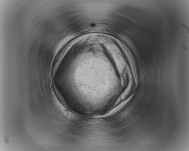 X0000101961434200808081518