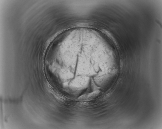 X0000101961435200808081518