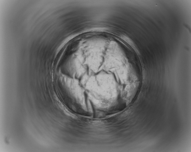 X0000101961436200808081518