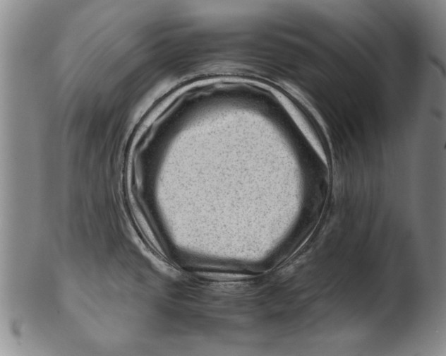 X0000101961437200808081518