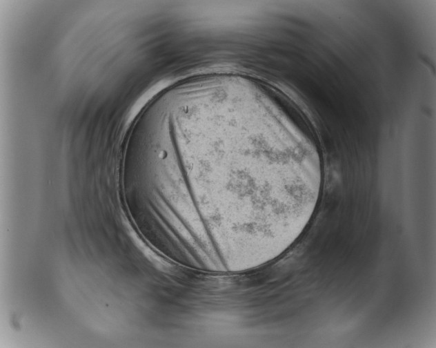 X0000101961438200808081518