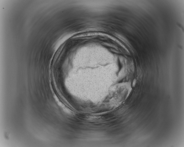 X0000101961439200808081518