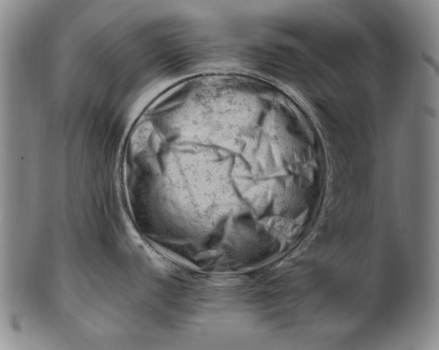 X0000101961440200808081518