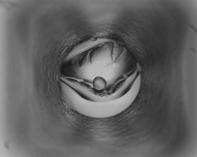 X0000101961441200808081517