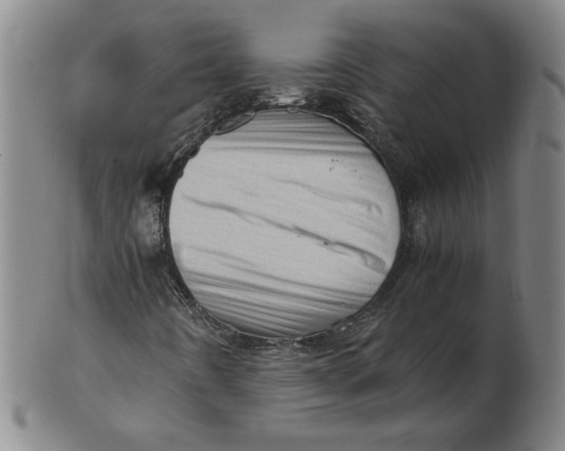 X0000101961442200808081517