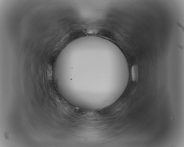 X0000101961443200808081517