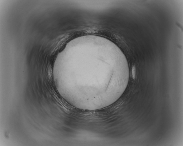 X0000101961444200808081517