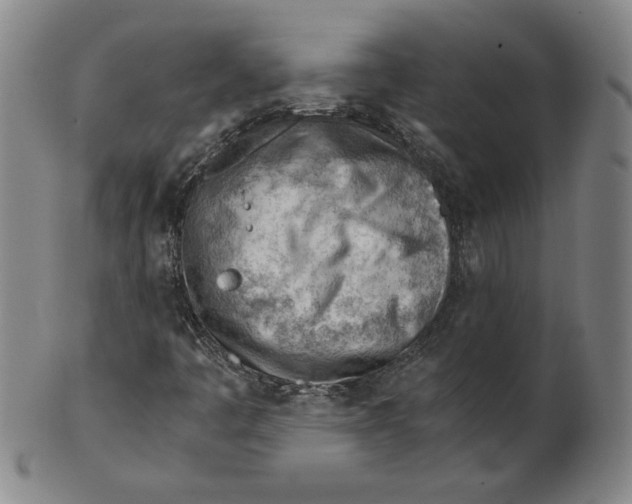 X0000101961445200808081517