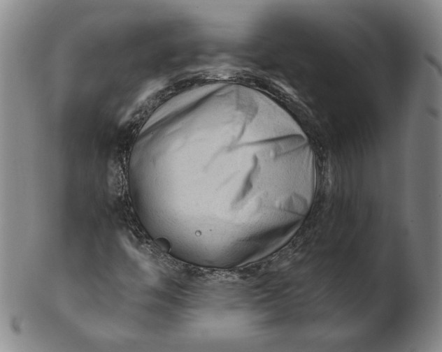 X0000101961446200808081517