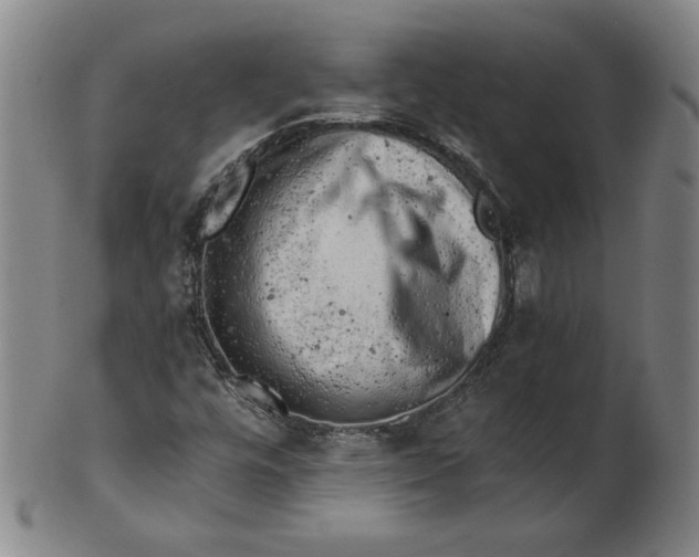 X0000101961448200808081517