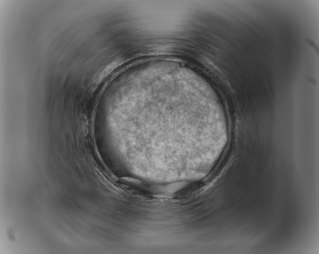 X0000101961449200808081517