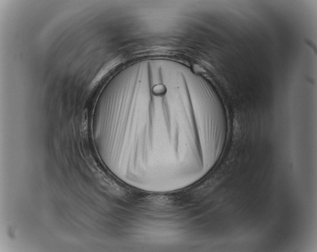 X0000101961450200808081517