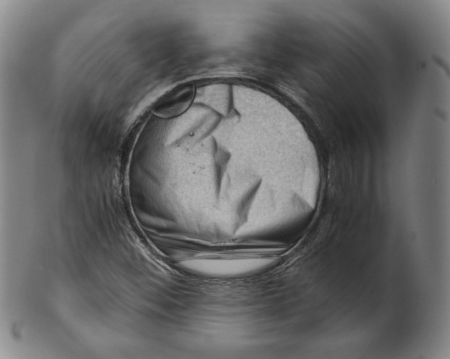 X0000101961452200808081517