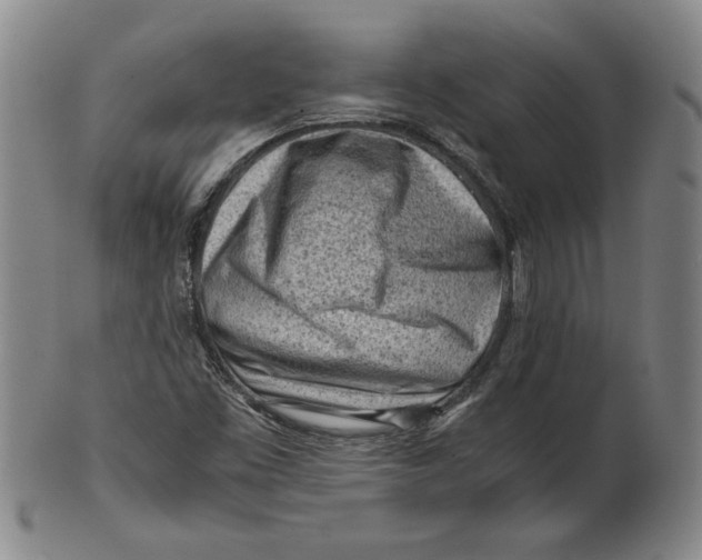 X0000101961453200808081517