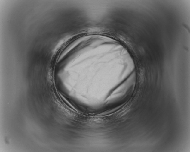 X0000101961454200808081517