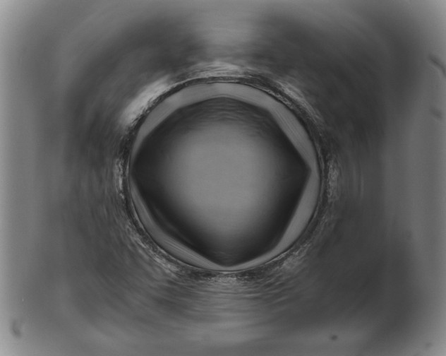 X0000101961455200808081517