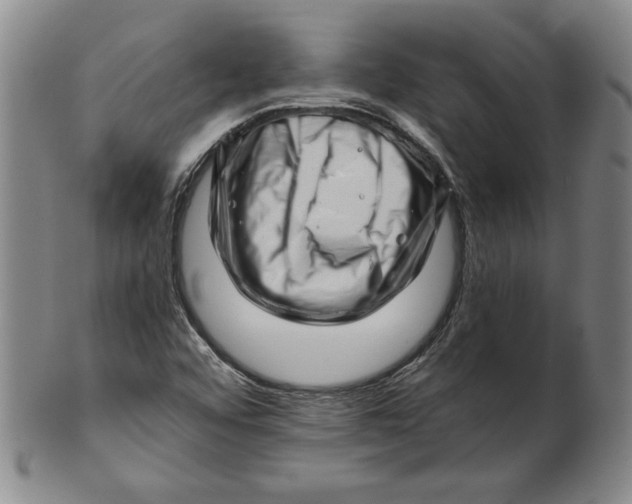 X0000101961456200808081517