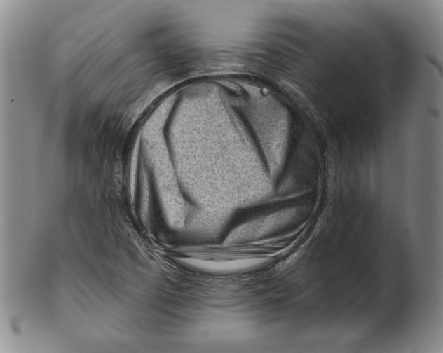 X0000101961457200808081517