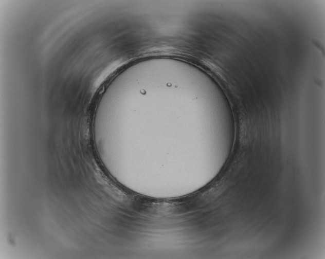 X0000101961458200808081517