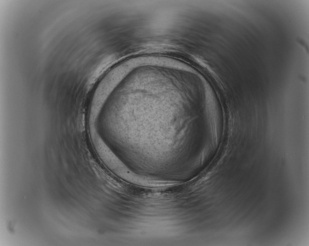 X0000101961459200808081517