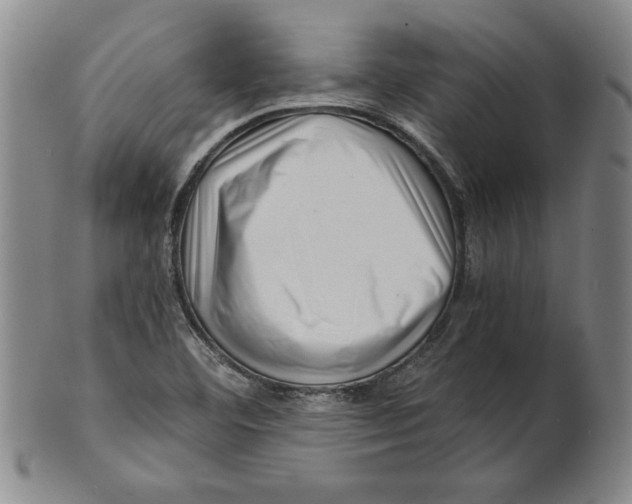 X0000101961460200808081517