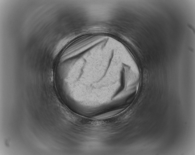 X0000101961461200808081517