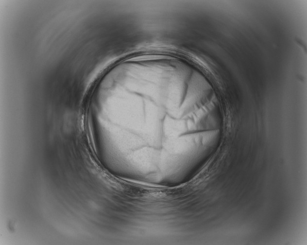 X0000101961462200808081517