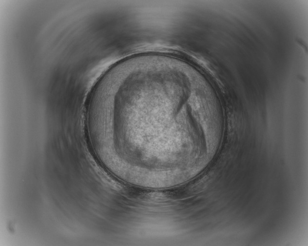 X0000101961463200808081517