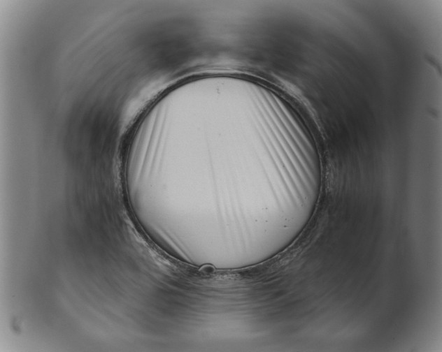 X0000101961464200808081517