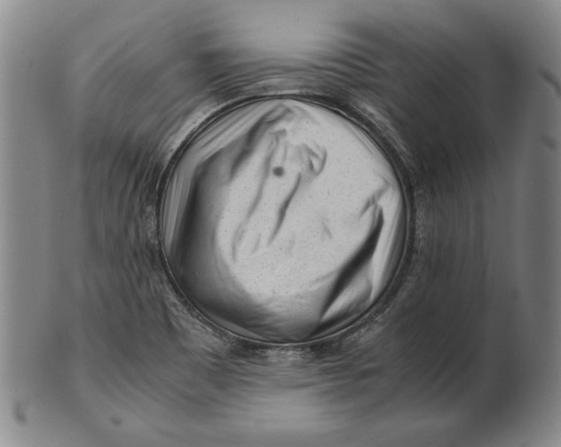 X0000101961465200808081517