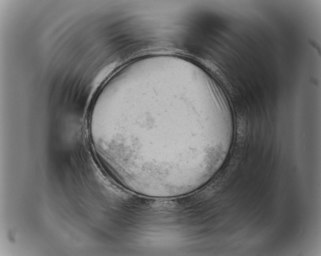 X0000101961466200808081517