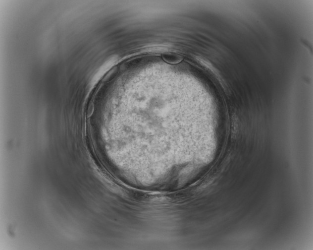 X0000101961467200808081517